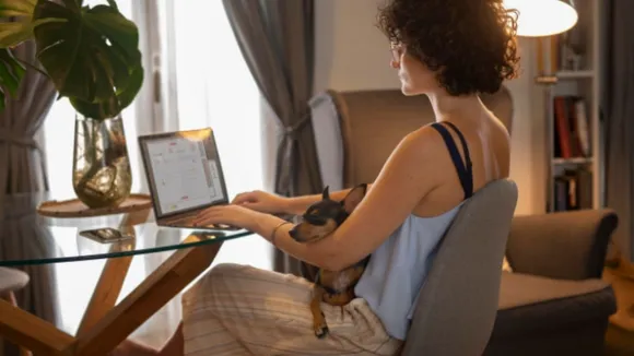 Work From Home Jobs for American company