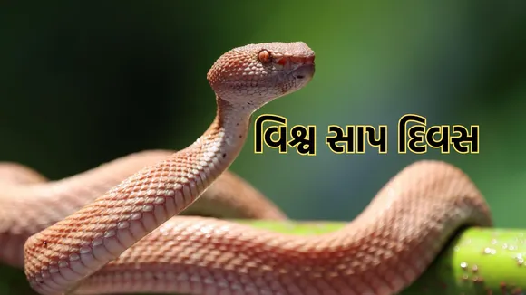 World Snake Day | World Snake Day July 16 | World Snake Day Date | interesting facts about snake in gujarati