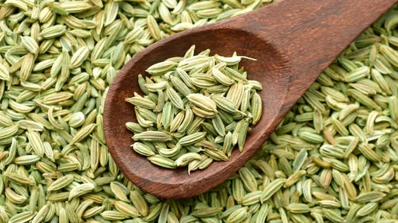 benefits of eating Fennel seeds after meal | જમ્યા પછી વરિયાળી ખાવાના ફાયદા