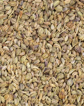 carom seeds | Gas trouble in stomach | પેટના ગેસમાંથી તરત જ રાહત મેળવો |