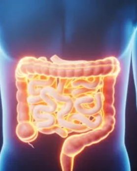 gut health | ડાયાબિટીસના દર્દીઓ માટે દહીંનું સેવન