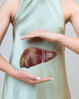 liver | લીવર