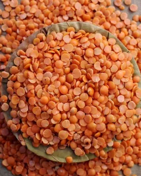 ચોમાસામાં કઠોળ ખાવાનું કારણ | masoor dal