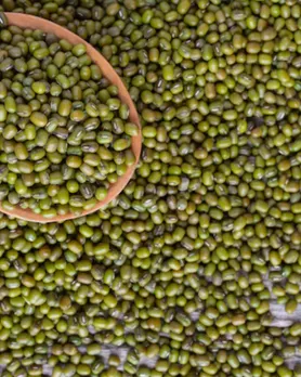 moong | ચોમાસામાં કઠોળ ખાવાનું કારણ