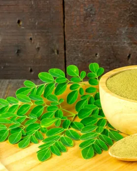 moringa | લોટમાં ઉમેરવાની હેલ્ધી સામગ્રી