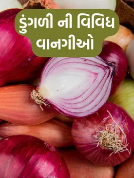 ચોમાસા માટે ડુંગળીની વાનગીઓ | onion various recipe tips