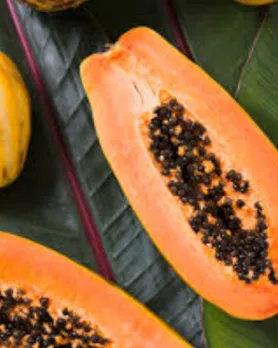 papaya benefits