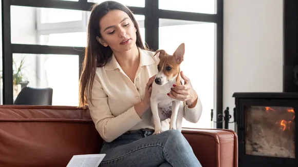 keeping dog in house is good or bad | pet dogs