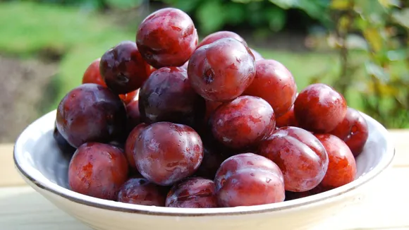 ચોમાસામાં આલુ બુખારા (આલુ) ના સ્વાસ્થ્ય લાભો