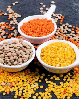 pulses | ચોમાસામાં કઠોળ ખાવાનું કારણ 
