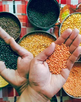 pulses | ચોમાસામાં કઠોળ ખાવાનું કારણ 