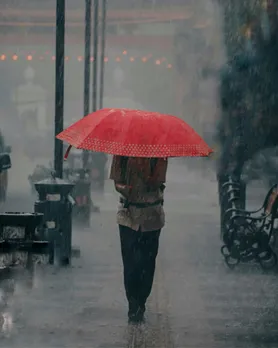 papaya side effects in gujarati