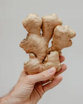 ચોમાસામાં શેકેલું આદુ ખાવના ફાયદા | Ginger