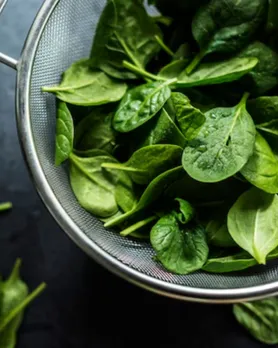 spinach | ચોમાસામાં પાલકનો રસ પીવાના સ્વાસ્થ્ય લાભો,