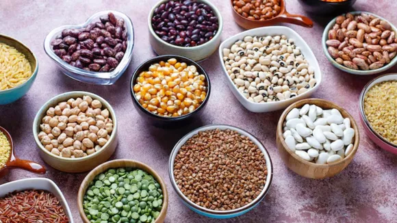 why should we eat pulses in monsoon | ચોમાસામાં કઠોળ ખાવાનું કારણ