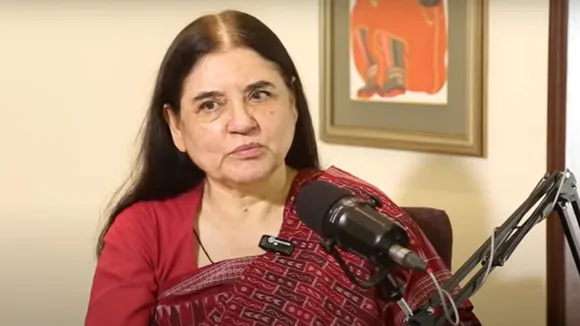 Stray Dogs in Delhi NCR