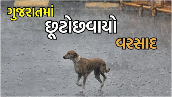 Gujarat Rain Today