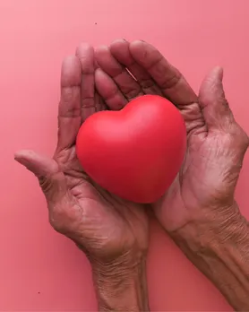 જો તમે દરરોજ એક એવોકાડો ખાઓ તો તમારા શરીર પર શું અસર થાય | એવોકાડોના ફાયદા