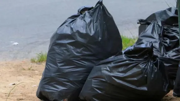 doctor, son in law, Murder