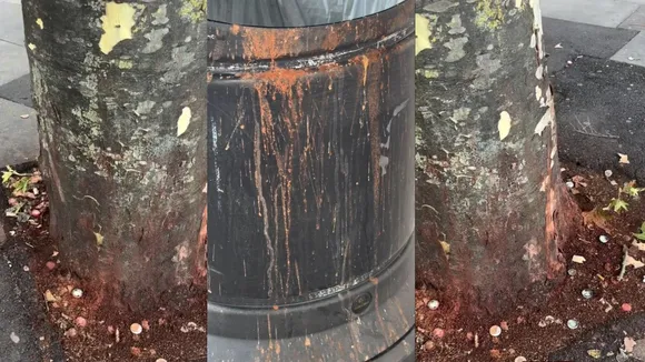 Spitting problem in London