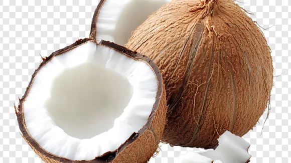 coconut, Shreephal, શ્રીફળ, નારિયેળ