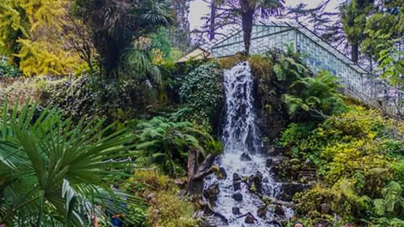 કંપની ગાર્ડન 