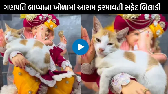 cat sleeps in lord ganesha lap