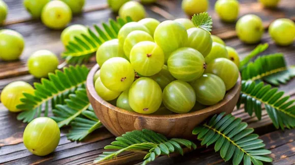 આમળાની રેસીપી