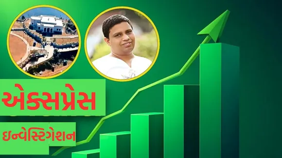 Balkrishna company turnover