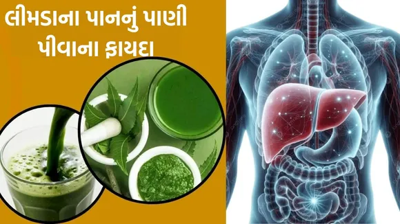 Benefits of drinking neem leaves water daily