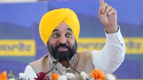 punjab cm news, bhagwant mann news