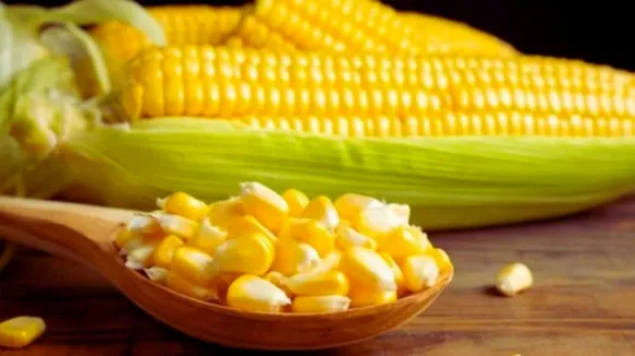 India corn imports tariffs