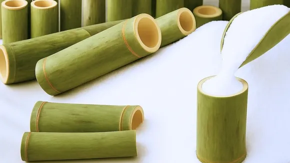 Salt | Most Expensive Salt In The World | Korean Bamboo Salt | Korean Bamboo Salt jugyeom | jugyeom | Rock Salt