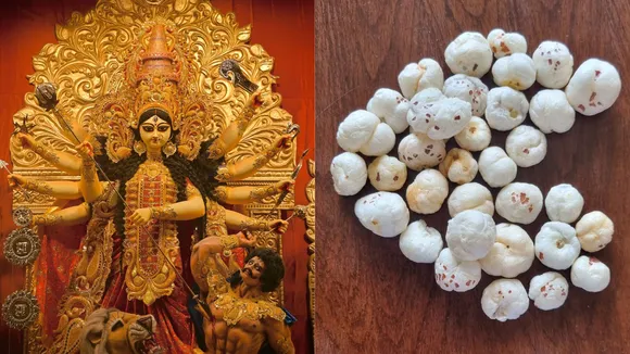 નવરાત્રી 2025 મખાના ફાઇબરયુક્ત ખોરાકનું મહત્વ ડાયટ ટિપ્સ