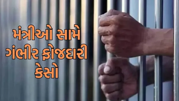 ADR report BJP and allies party