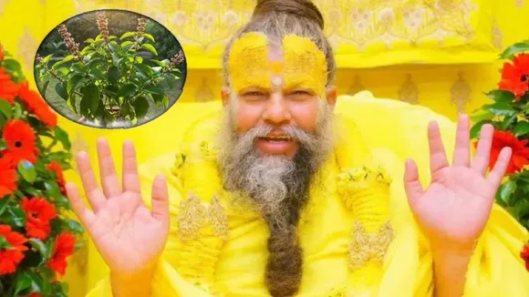 Shri Hit Premanand Govind Sharan Ji Maharaj On Tulsi | Premanand Maharaj | Premanand Maharaj Video | Premanand Maharaj On Tulsi