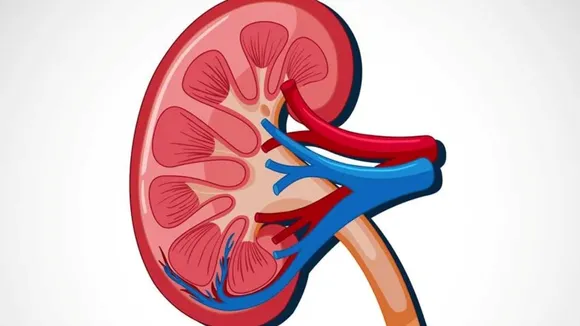  Sabudana side effects
