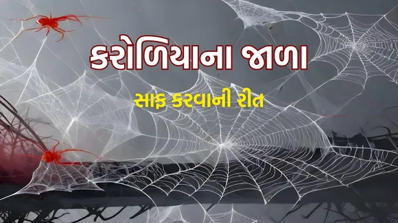 Spider Webs Remove Tips | Spider Webs clean tips | home cleaning tips