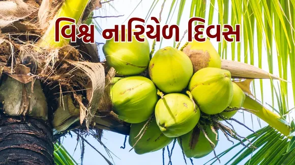 World Coconut Day | World Coconut Day date | World Coconut Day History | Coconut | Coconut water | Coconut tree