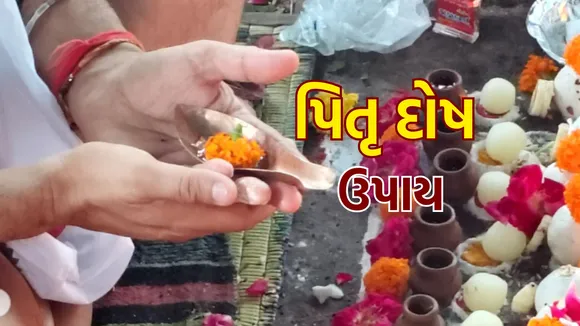 pitra dosh upay | pitra dosh remedies | Pitru Paksha 2025