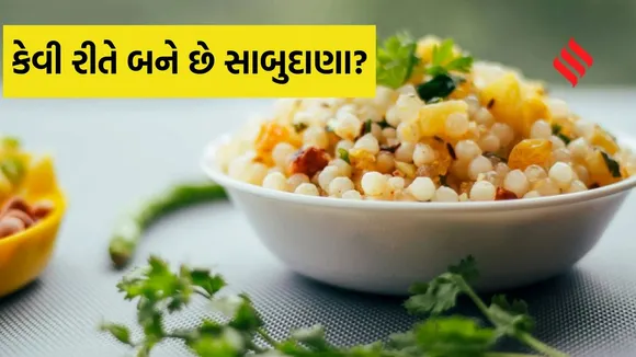 sabudana benefits