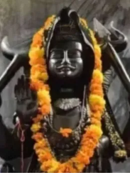 Shani Dev Margi And Budh Vakri 2025