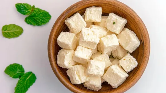 જો તમે એક અઠવાડિયા સુધી દરરોજ પનીર ખાશો તો શું થશે? હેલ્થ ટિપ્સ પનીરના ફાયદા ગેરફાયદા