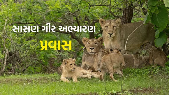 Sasan Gir National Park Visit | Gir National Park Safari trip | Gir National Park visit time