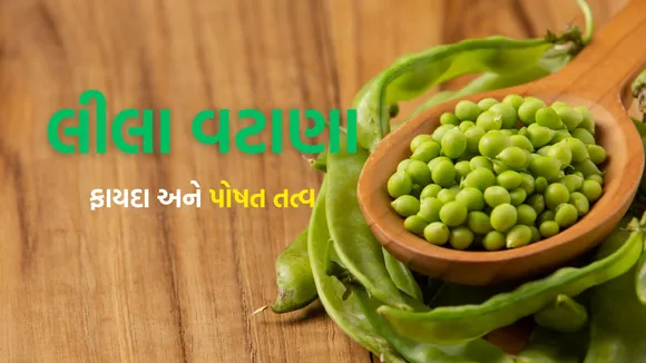Green Peas Benefits | Green Peas recipe
