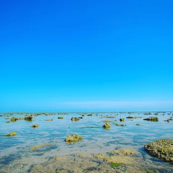 Pirotan Island Visit | Pirotan Island ticket fee | Pirotan Island | Pirotan tapu | Pirotan Bet | Hidden Tourist Places In Gujarat | Gujarat Island | famous tourist places in gujarat