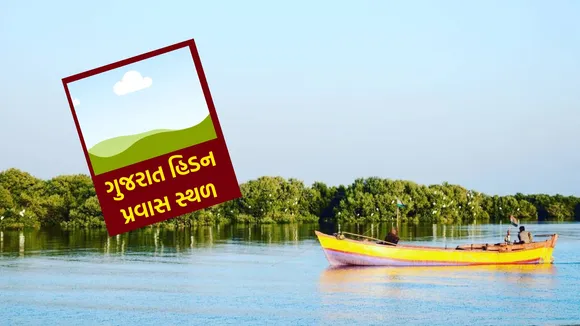 Pirotan Island Visit | Pirotan Island ticket fee | Pirotan Island | Pirotan tapu | Pirotan Bet | Hidden Tourist Places In Gujarat | Gujarat Island | famous tourist places in gujarat