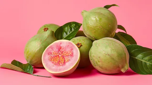 પ્રોટીનયુક્ત ખોરાક જામફળ સ્વાસ્થ્ય લાભો 4 ગ્રામ પ્રોટીન ડાયાબિટીસ હેલ્થ ટિપ્સ