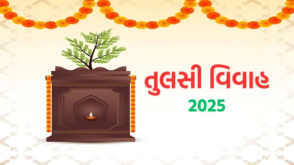 Tulsi Vivah | Tulsi Vivah 2025 | Tulsi Vivah 2025 Date | Marriage on Tulsi Vivah day