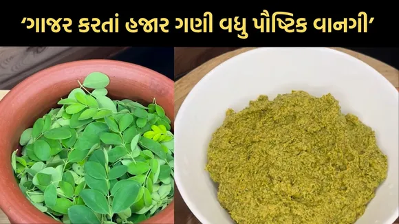 drumstick leaves benefits for hair